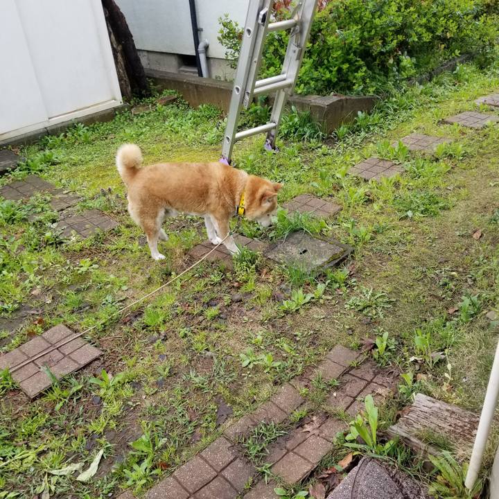 048b76bc dd82 4e50 9c38 af21da80cb25 1681860229930