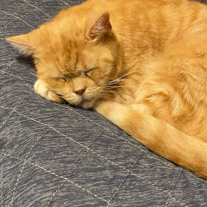 048b8af9 4870 4b78 adae 6acf73b6eddf 1625293161679