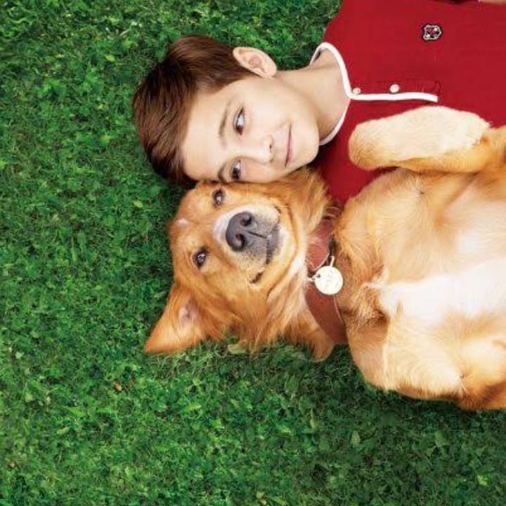 048b90cc 9ccc 4eeb a780 cc0ef8e7b938 1565608477561