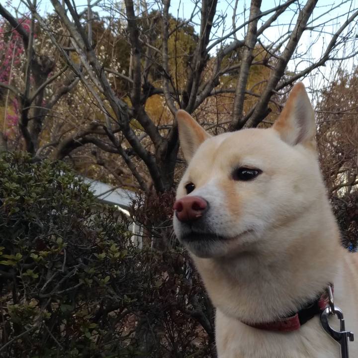 048bb68a d892 4299 b7b0 52ce4ebaf025 1550132104593