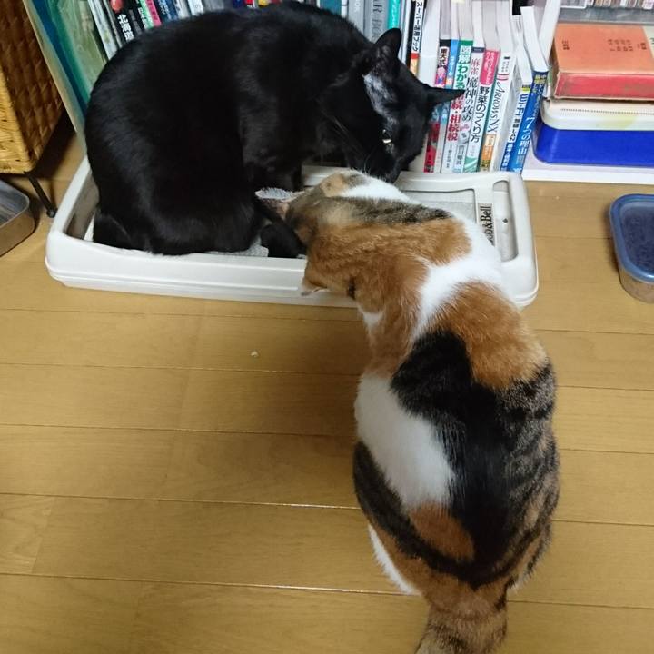 048bc30e 3a75 4b98 bba9 2d6345ba1bb8 1546344971982