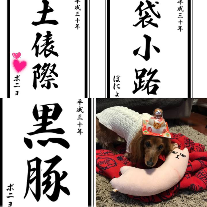 048bc446 95d7 42c1 97a4 d04c809ec495 1515291947494