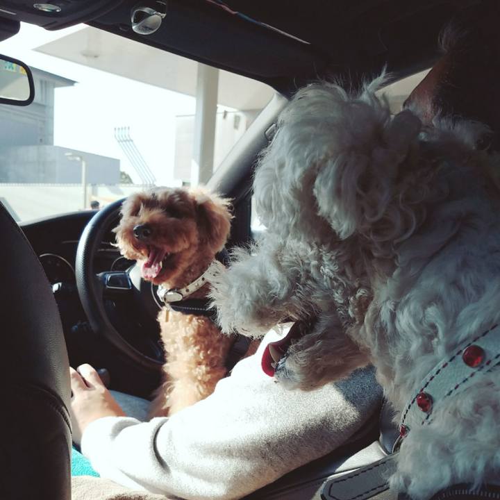 048bd5a6 d45c 491a 9f27 f78766adc6a6 1514001298483