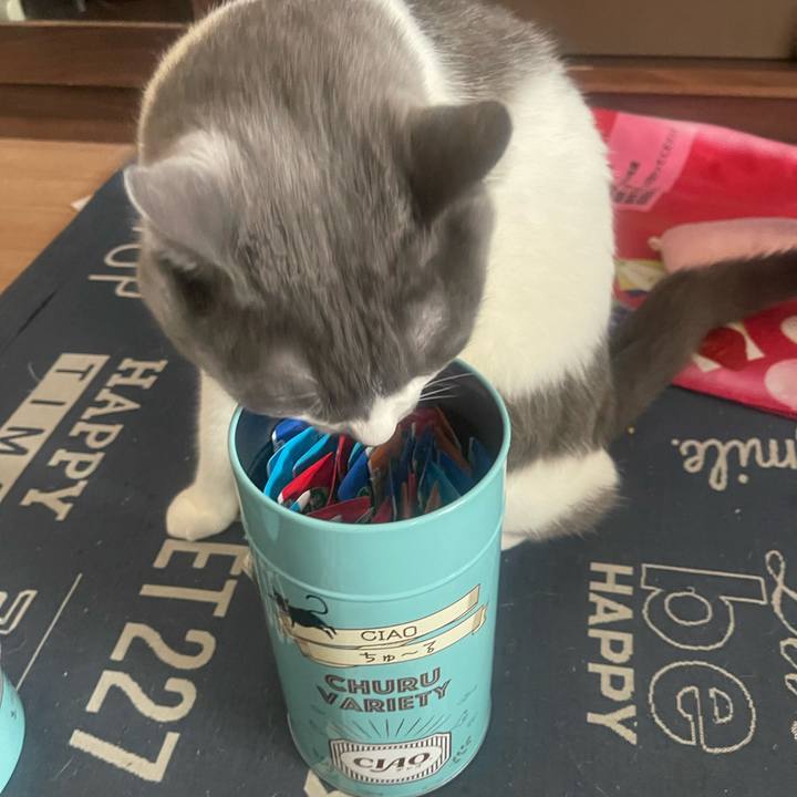 048bf11b 4360 4f80 a48a eb097ce3cbab 1724744657222