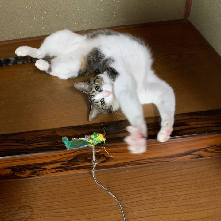 048c1aed 797f 4701 ae7c 8e4b62e6e35e 1572053127545