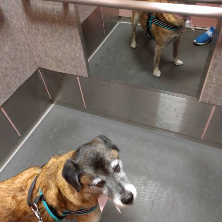 048c25a3 919d 4d08 a9ae 4ed1dca187e6 1537945960290