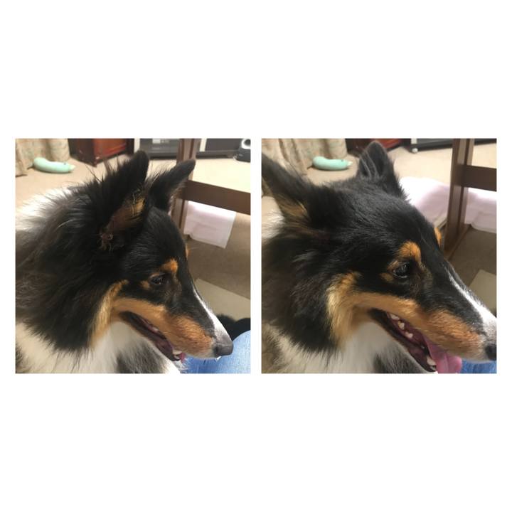 048c32ad 73ef 45c3 beb0 3c88864fd4d9 1536876193508