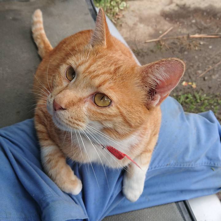 048c5d62 3e8e 41ed ab62 83296a9b6f4f 1571025885982