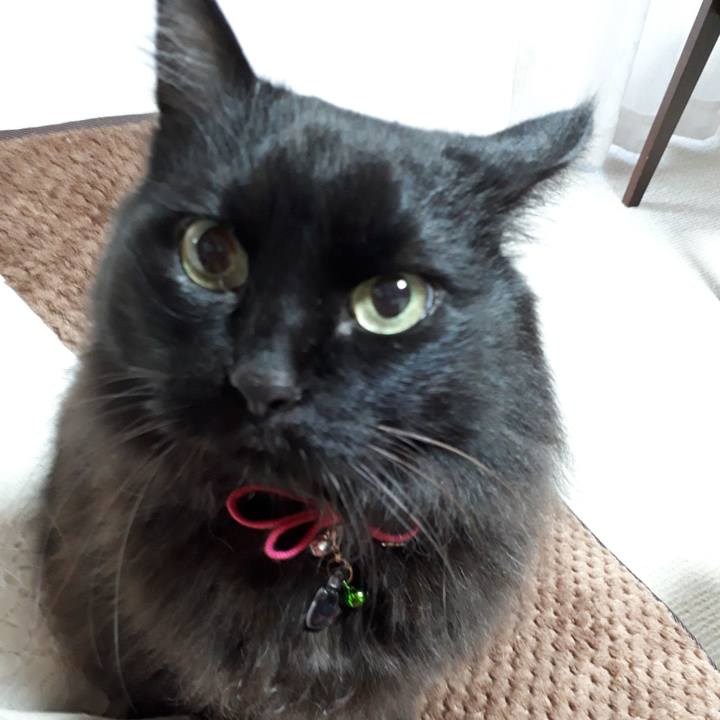 048c76a3 3d4c 4759 bbf9 e11489a151b1 1518818408120