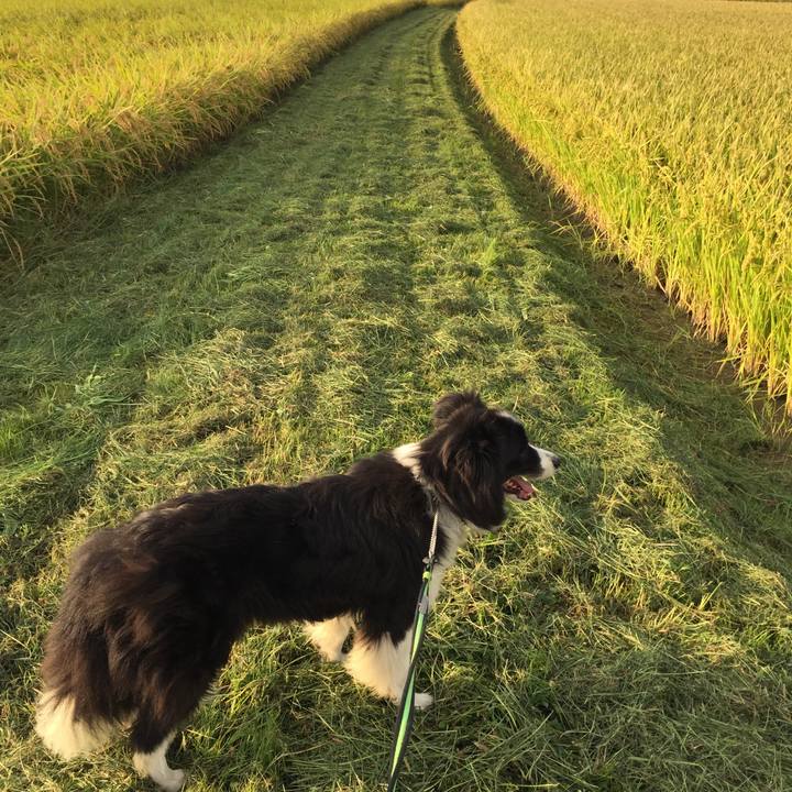 048c8644 b6c2 424e a9e2 59c748538ea5 1570317247678