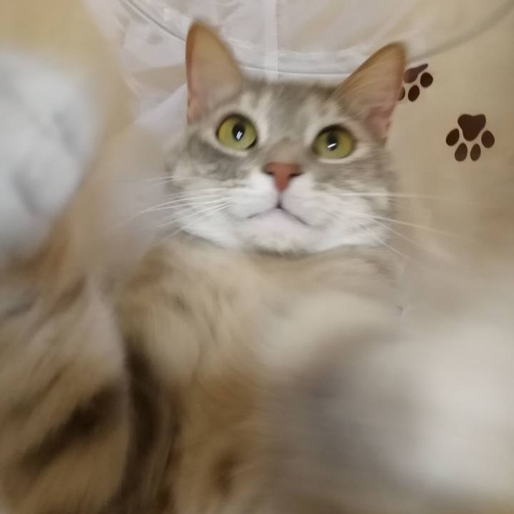 048c97ea 5cc8 4d16 92c8 458ee9ccc183 1551880411893