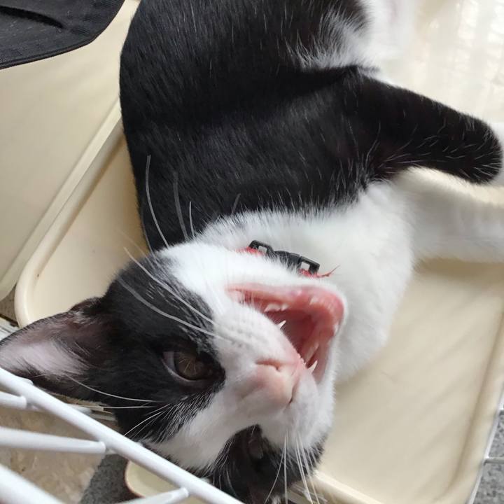 048ca0a5 1117 408e 9878 7d64169127e8 1628397713303