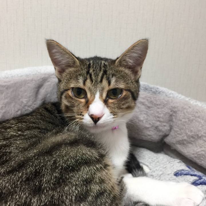 048cd559 6232 4866 a71a 7e86c92fc7dd 1540638880972