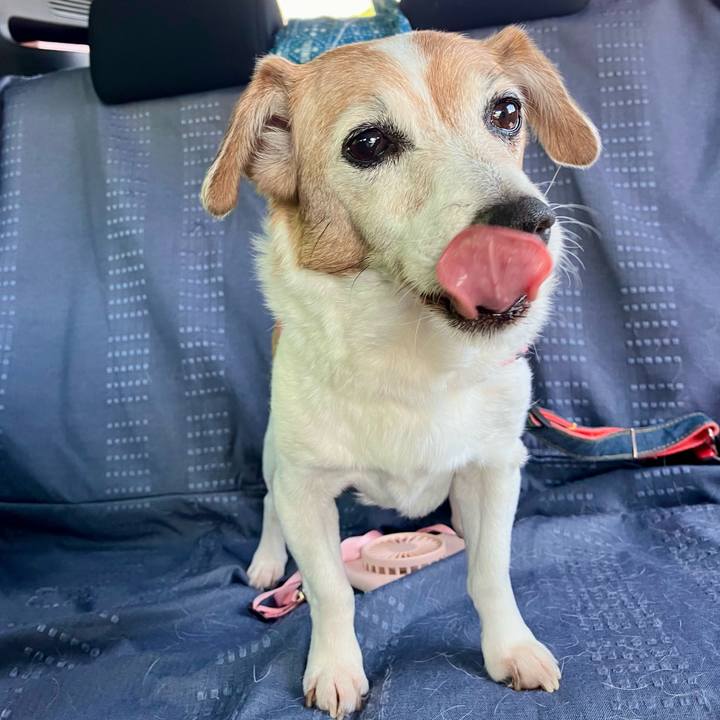 048ce58d 515c 4e0e 9ff0 e4f332bf9e82 1722050018496