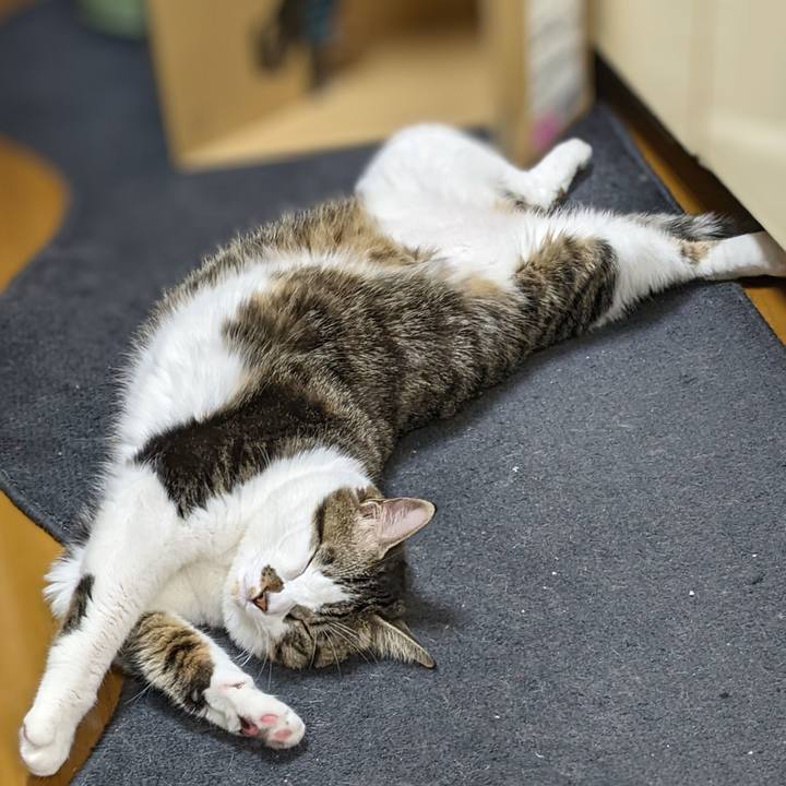 048d05bd 0f7c 4af3 bbf8 b0f5546355b1 1669295364546