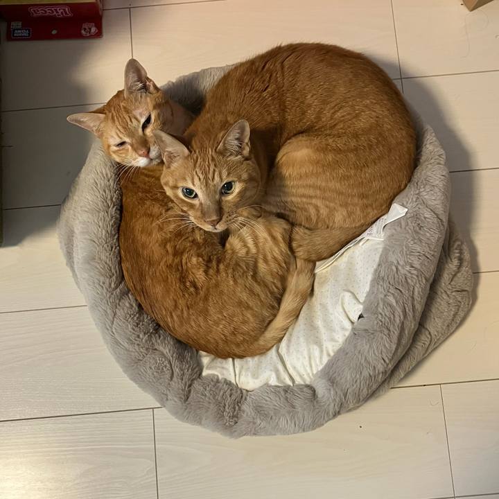 048d8b30 05a5 4639 ba1c 93cea5719be4 1761101973510