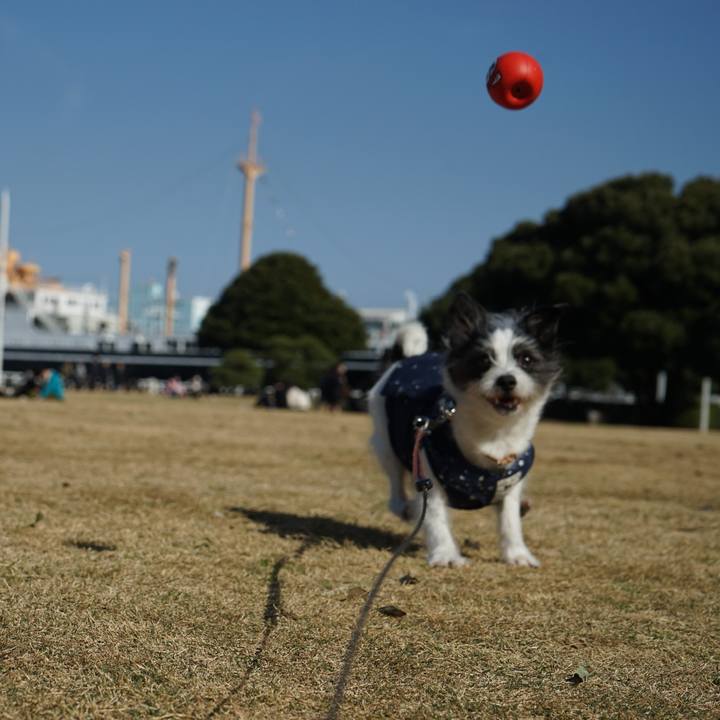 048db9c3 7b3c 4285 b8a9 1fb55392e7ea 1678795911219