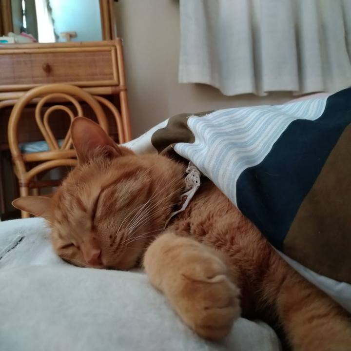 048dc812 00b1 4af7 b64e d0d4d452b26e 1614155260483