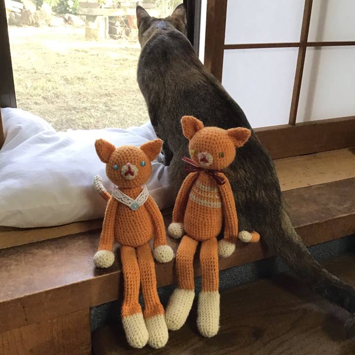 048df198 36ec 476e 870e 8f67be8cfa9b 1574578379398