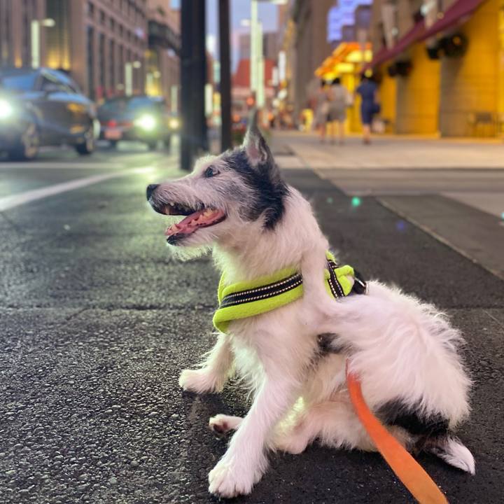 048e0408 a7c4 439a 8111 d3ba7424ae87 1597059759351