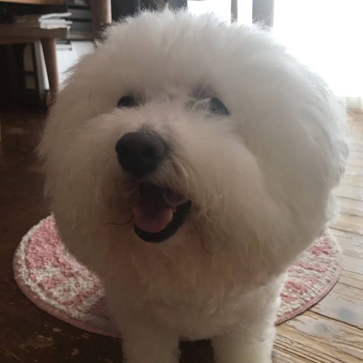 048e079f 2af9 47d2 b601 20269d5b5a24 1596405655333