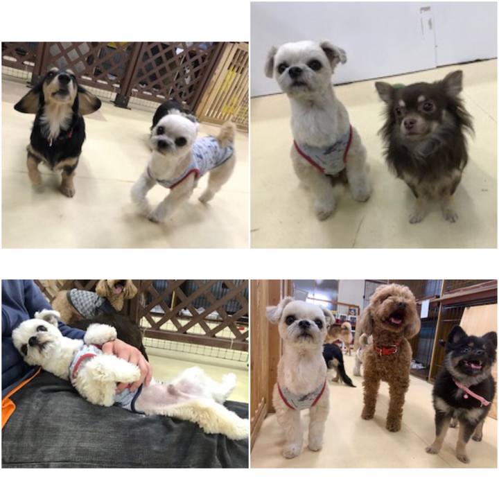 048e2e8b 7d49 4881 8ad5 2463c54474f9 1552654965423