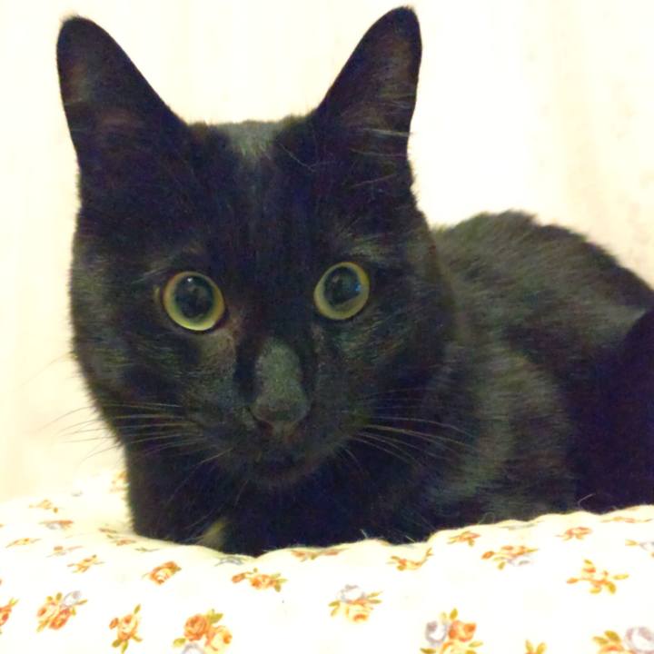 048eb048 489e 4cb4 a9fc fa38281bea3b 1651748368959