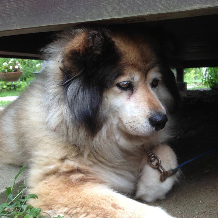 048eb18a 74e4 4444 83b1 73a1ce787284 1624313832827