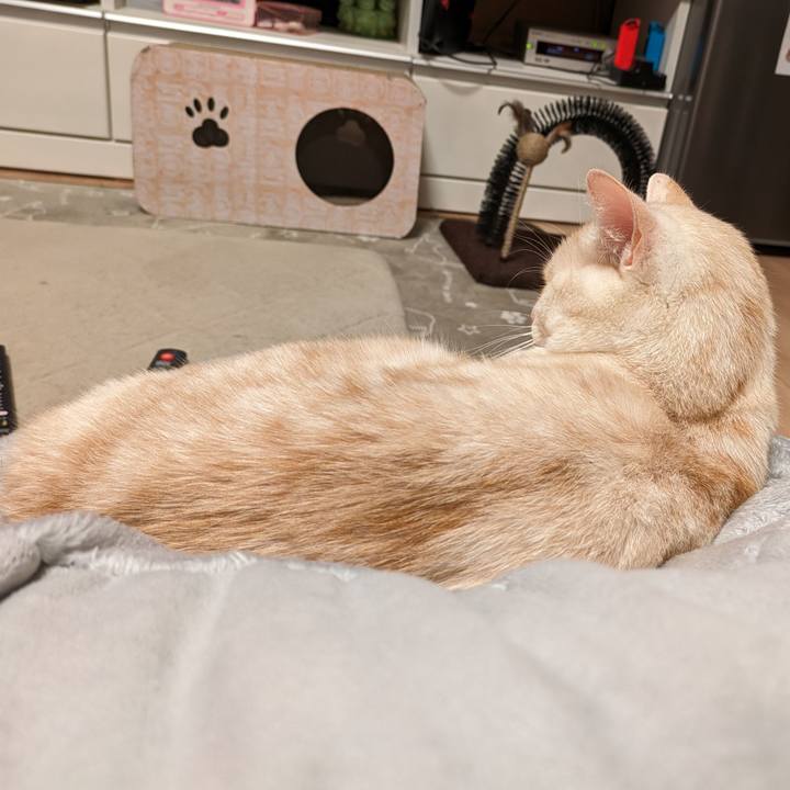 048edd2c 159d 4ce1 a8bf c1ff8291c3cf 1684846162651