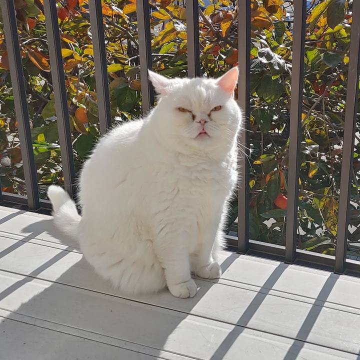 048eebc3 9316 4d0b a011 69c857cfa430 1763168237505