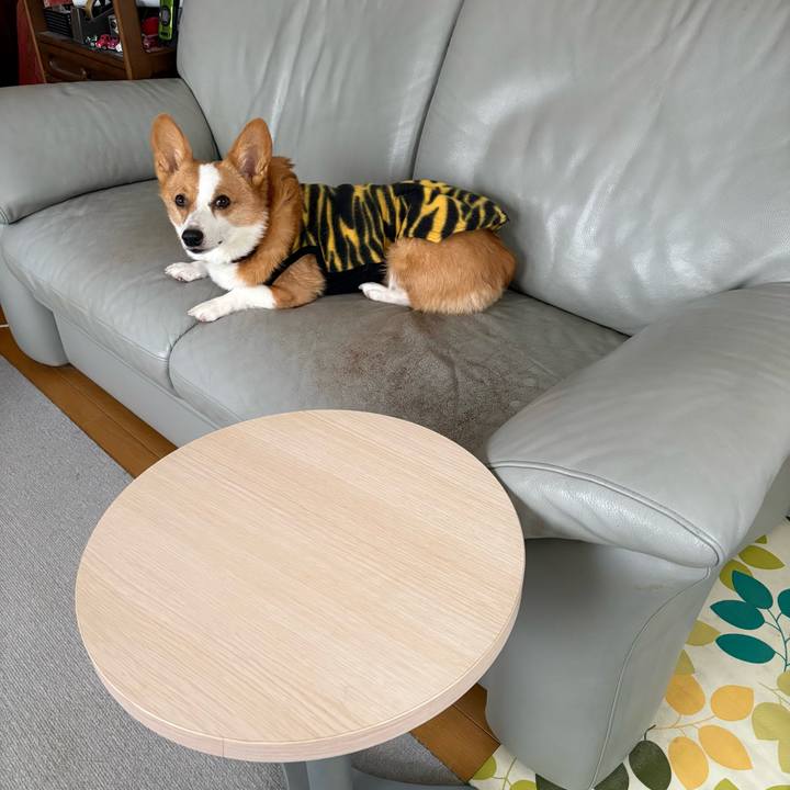 048f0511 9aaf 4f37 854e b973bf31989b 1770432218111