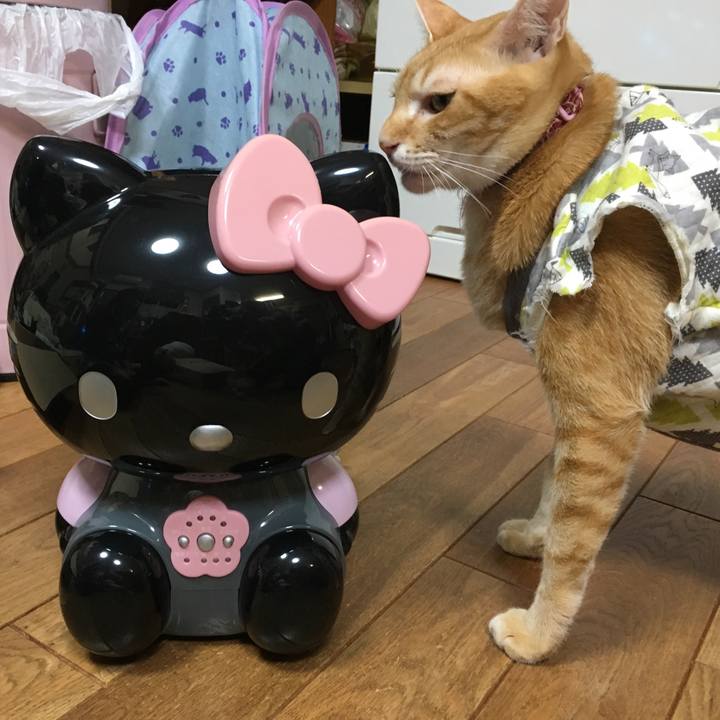 048f1299 8e85 4149 98a9 0a1f0941efae 1511347138771