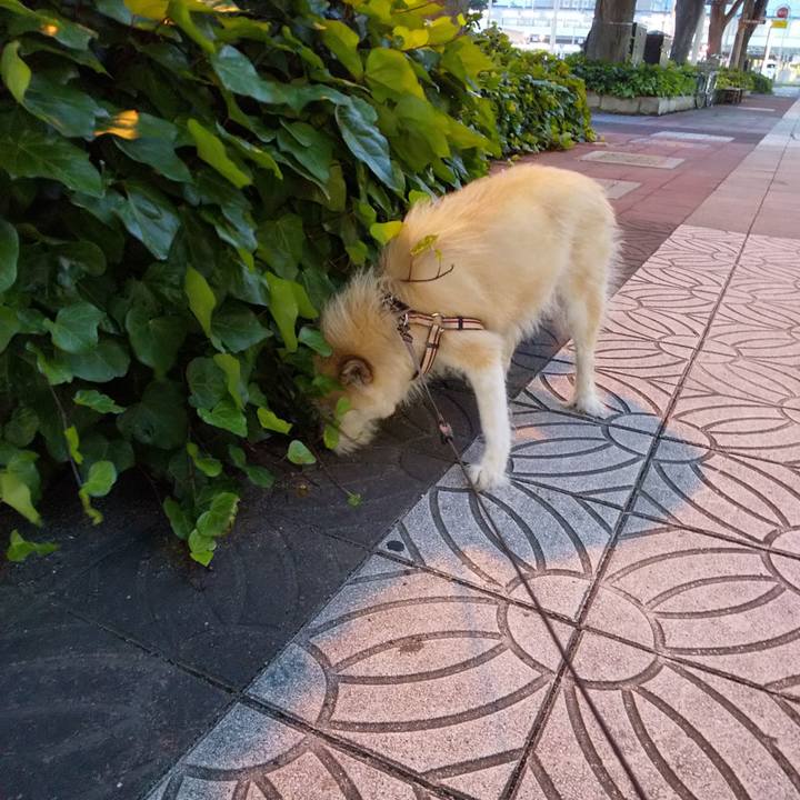 048f4065 a68b 400d 936e e2f31b70974e 1561025937296