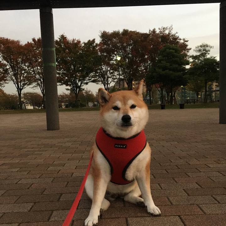 048f8073 64a7 46c7 808c 37baa6accc1b 1604652076804