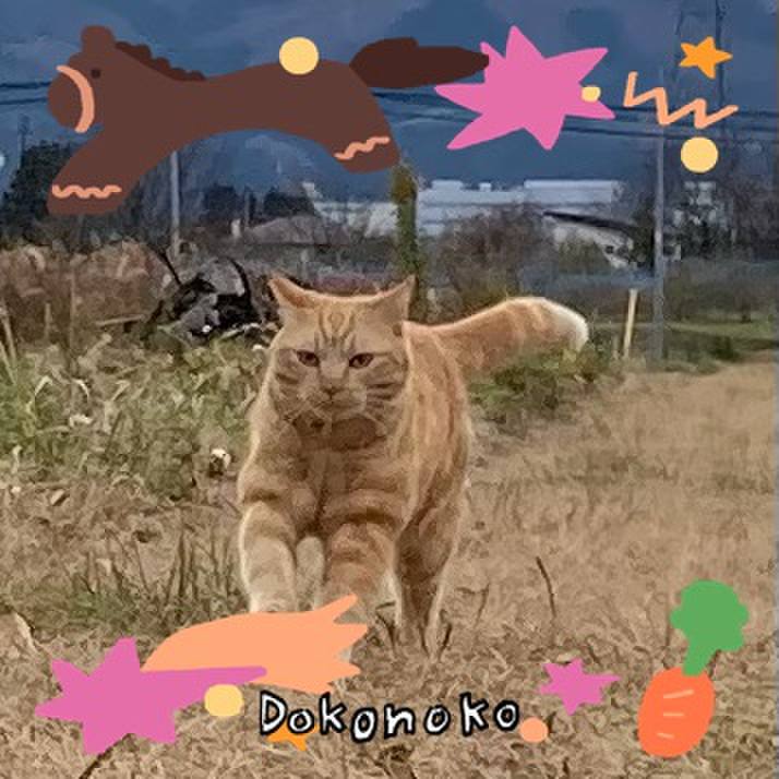 048fd139 a924 4c83 893a f6b275d11eaa 1772438639996