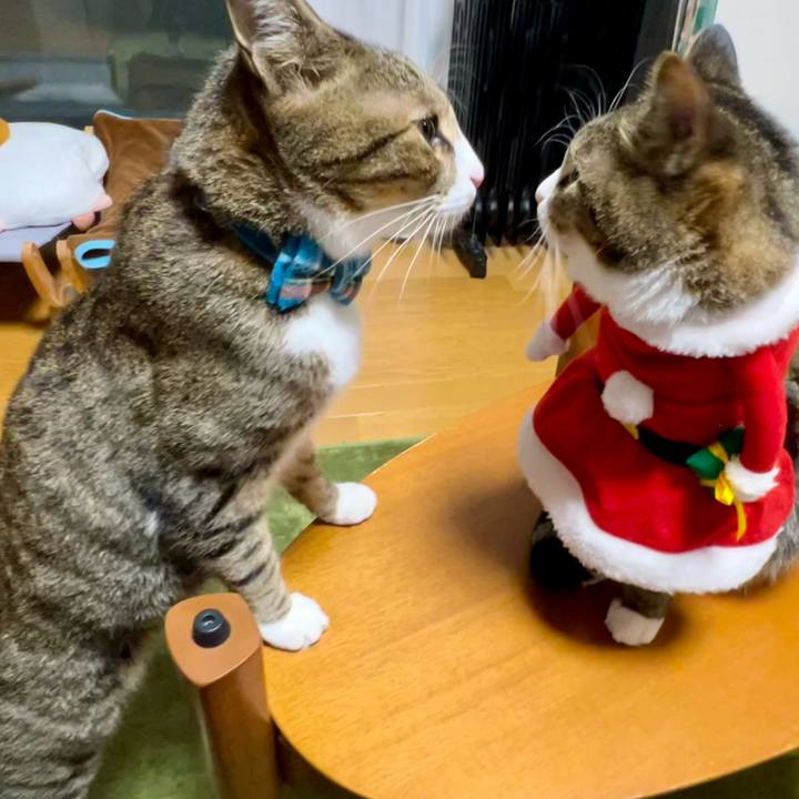 048fe782 9737 43d1 ba16 14519da7208b 1734963190564