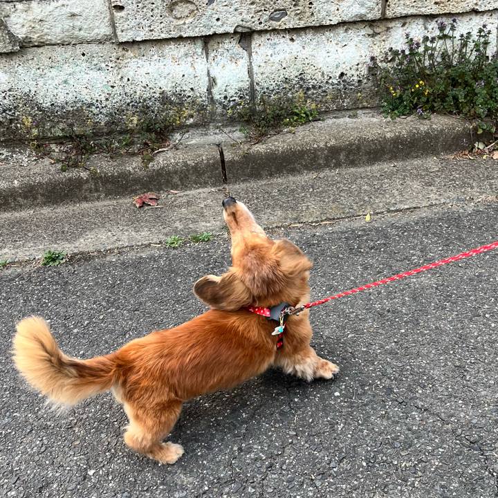 048ffe5a 246b 4019 8cd6 38ceae96fae1 1647437160295