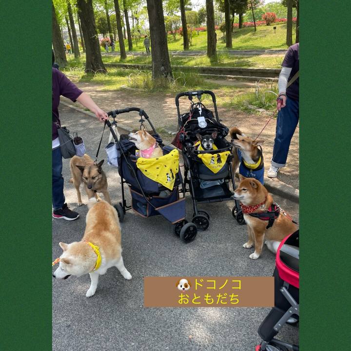 04902cb1 5b62 43f9 babb c39879dee4ef 1659519121609