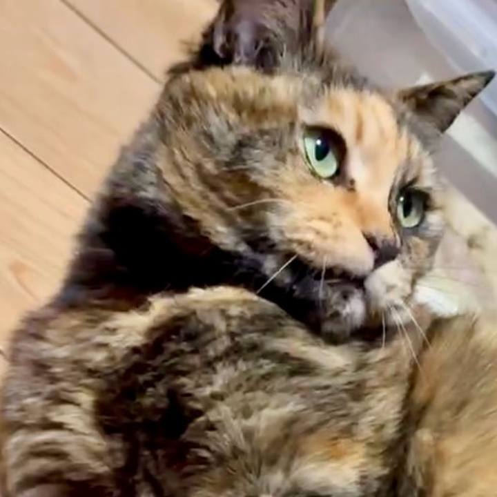 049066ee 1c58 41d4 a886 1e595cd6c1b7 1768251128257