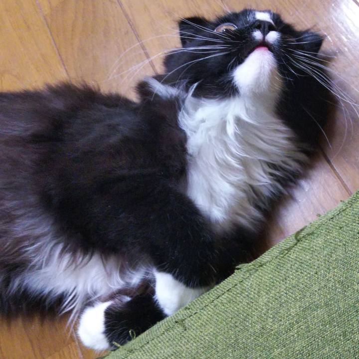 0490af9b 6cdc 48ba b02e 19805fde8c2d 1643528837332