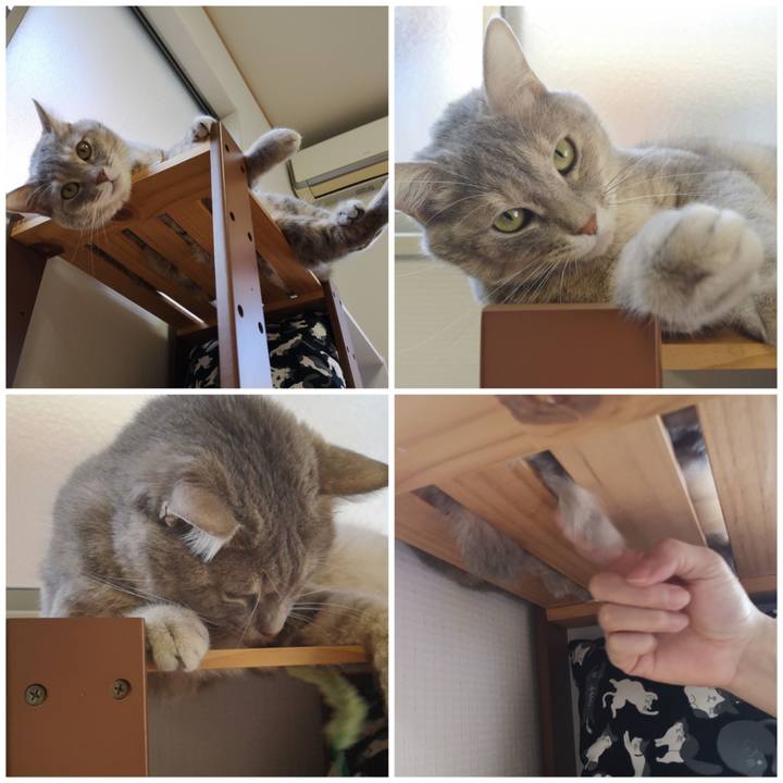 0490bfa5 63f1 4895 98ce a1d1142ea176 1570695799462