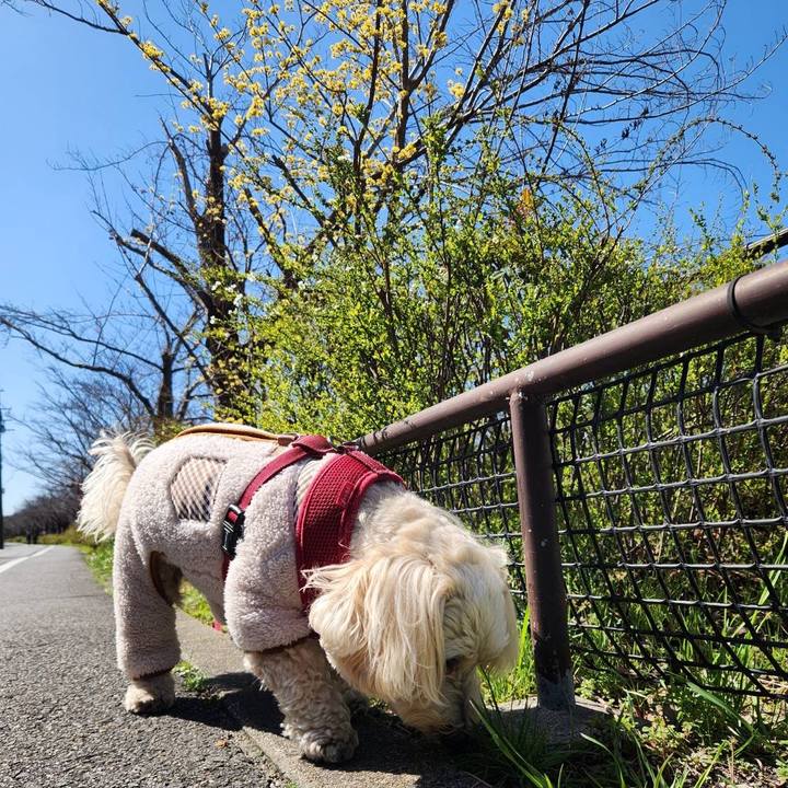 04914630 b216 42e6 ae33 4780e20b21ea 1773210845698