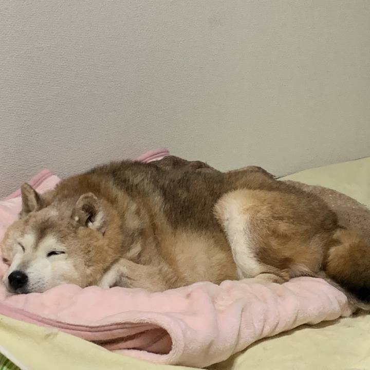 04919e11 cc85 4ebd b814 b5c9172f46a9 1674135479724