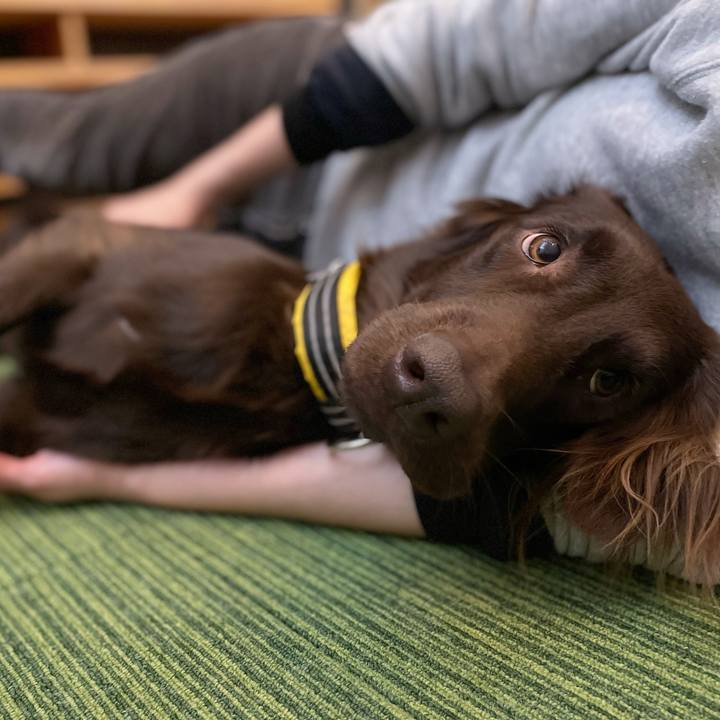 0491b08e 264d 4f44 a7ba 14aebcd4d163 1607469790674