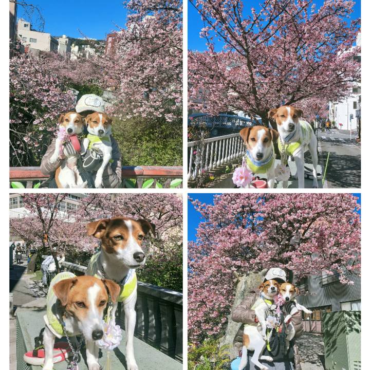 0491b223 9d02 4943 ba35 eebcec7ccafa 1769161711097