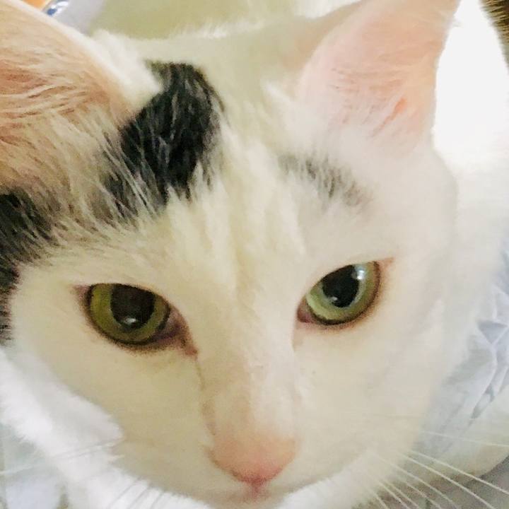 0491c869 9129 47ae 9ebf cd86447a6986 1561258852353