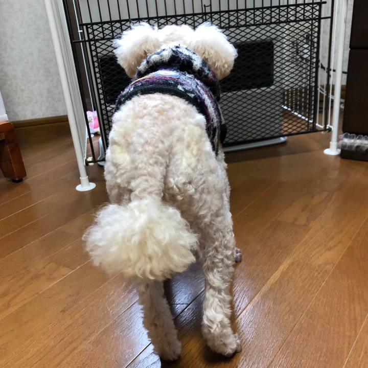 049248ae 33f5 4607 926d f743437805c0 1551883640468