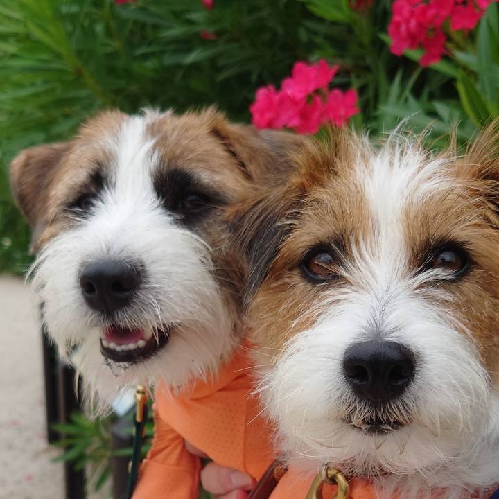 0492638b 0b03 4113 9aff c40474ce73d9 1752549665879