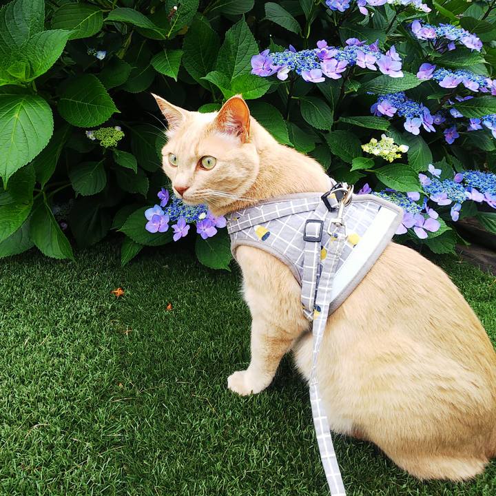 04927d83 2ee9 442f a8b9 7fcdfecf73f1 1689489695756