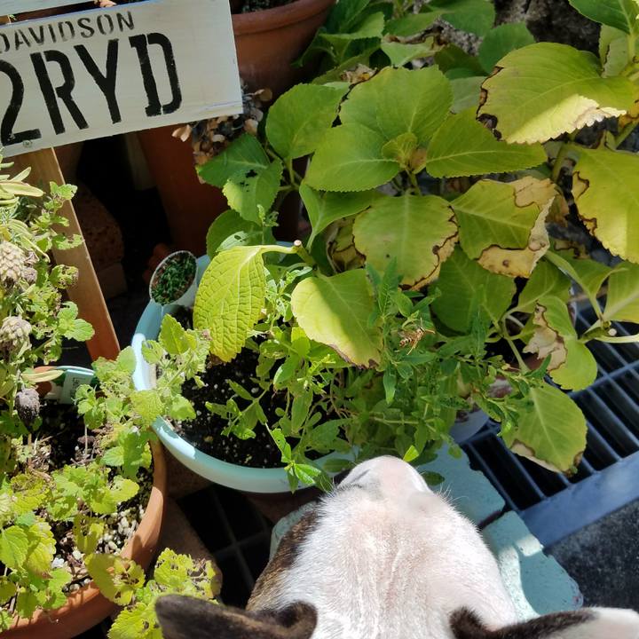 049286c1 7c7e 4f77 bc57 76ba6b89ece2 1532149916123